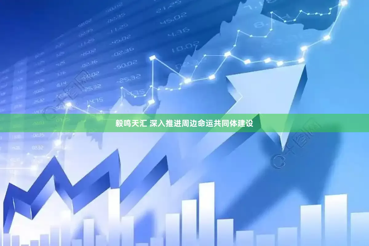 毅鸣天汇 深入推进周边命运共同体建设