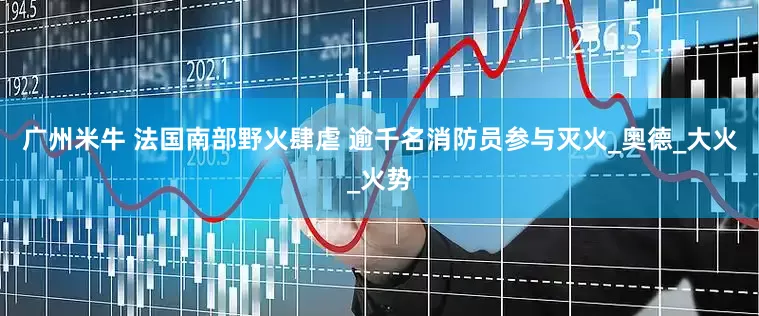 广州米牛 法国南部野火肆虐 逾千名消防员参与灭火_奥德_大火_火势